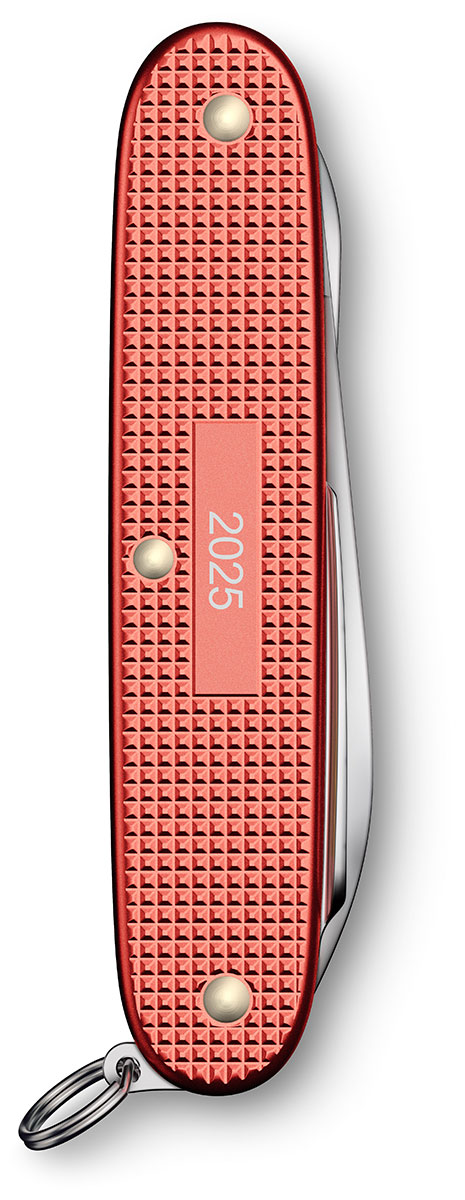 Victorinox Pioneer X Alox Stone Red LE 2025 0.8231.L25