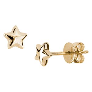 Kohinoor Deco örhängen 133-673 main product photo