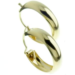 Örhänge i 14k guld 16mm 154PP main product photo