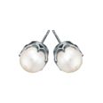 Pirami vitguld 6mm pärlörhängen 01030124