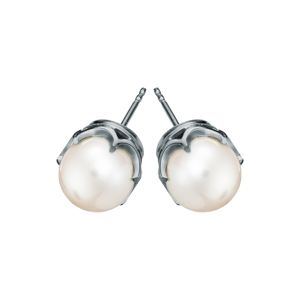 Pirami vitguld 6mm pärlörhängen 01030124 main product photo