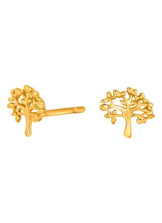 Nordahl Jewellery TREE52 örhängen guld 325 648-3
