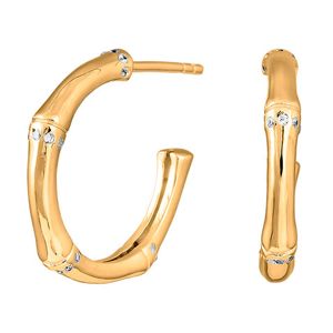 Joanli Nor FLORINANOR örhängen guld 345 241-3 main product photo