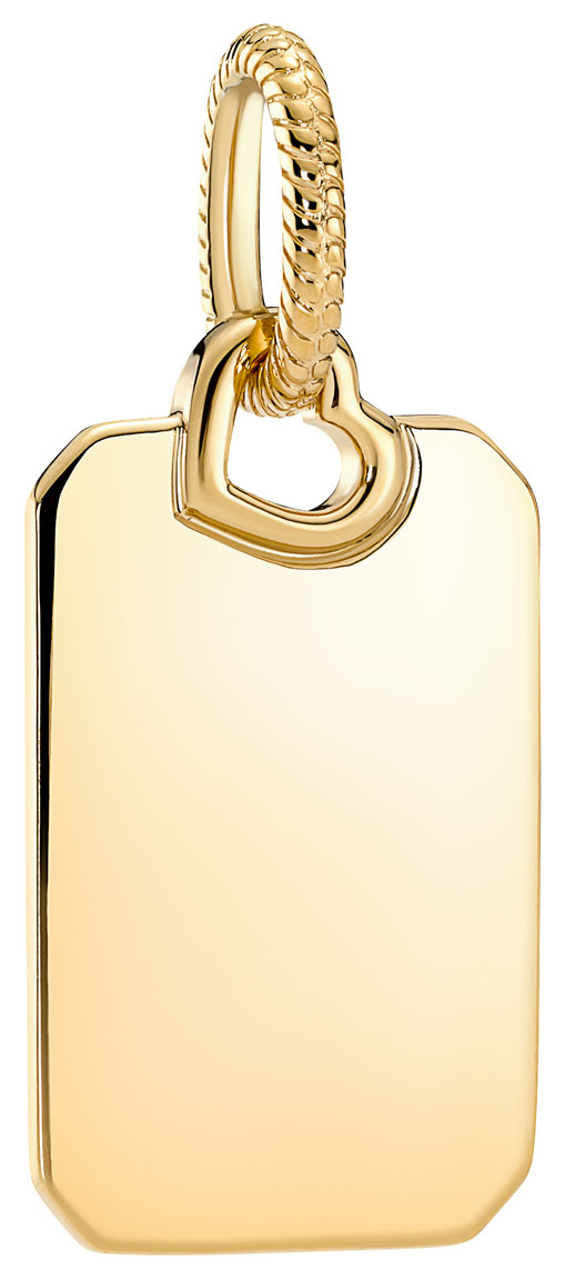 Pandora Engravable Rectangle Tag berlock 368611C00