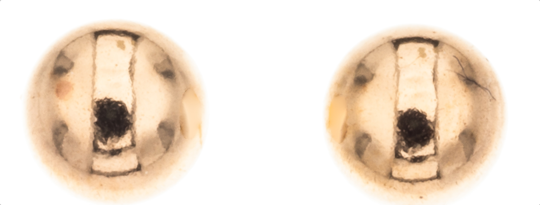 Silver Bar kulaörhängen 6 mm guldpläterad 5664