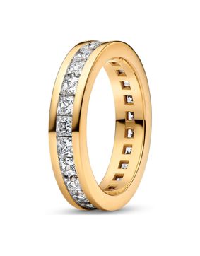 Pandora Timeless Double Band ring 163797C01