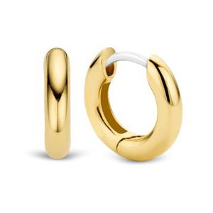 TI SENTO örhängen 7210YS main product photo