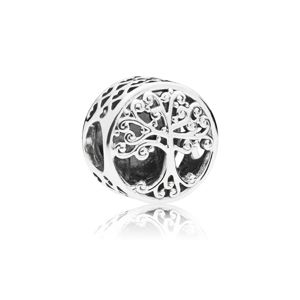 Pandora Family Roots 797590 berlock main product photo