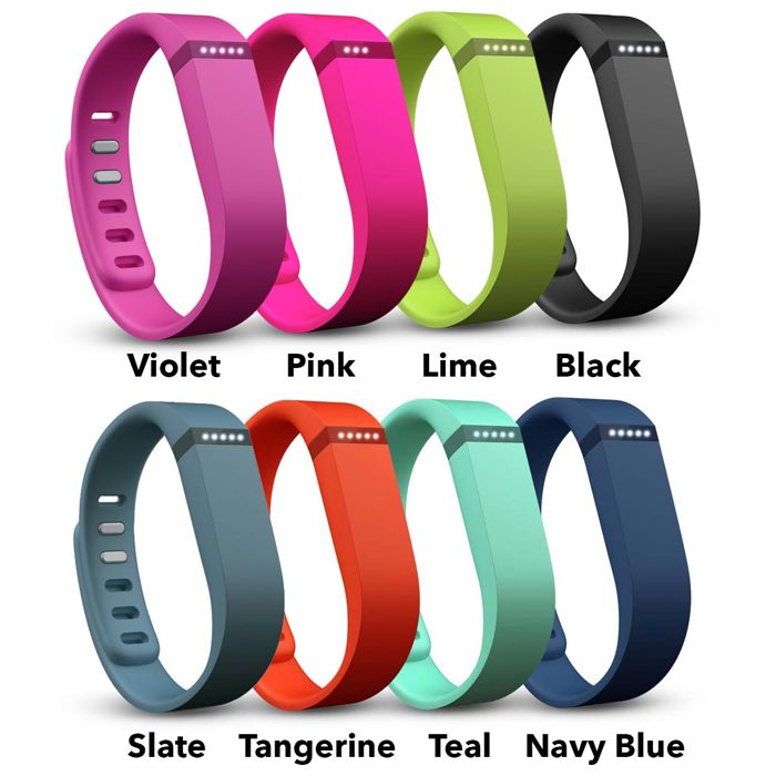 Fitbit Flex main product photo
