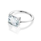 Efva Attling A Macaron Dream ring 13-100-01512-1800