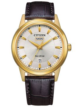 Citizen Eco-Drive Classic AW0102-13A