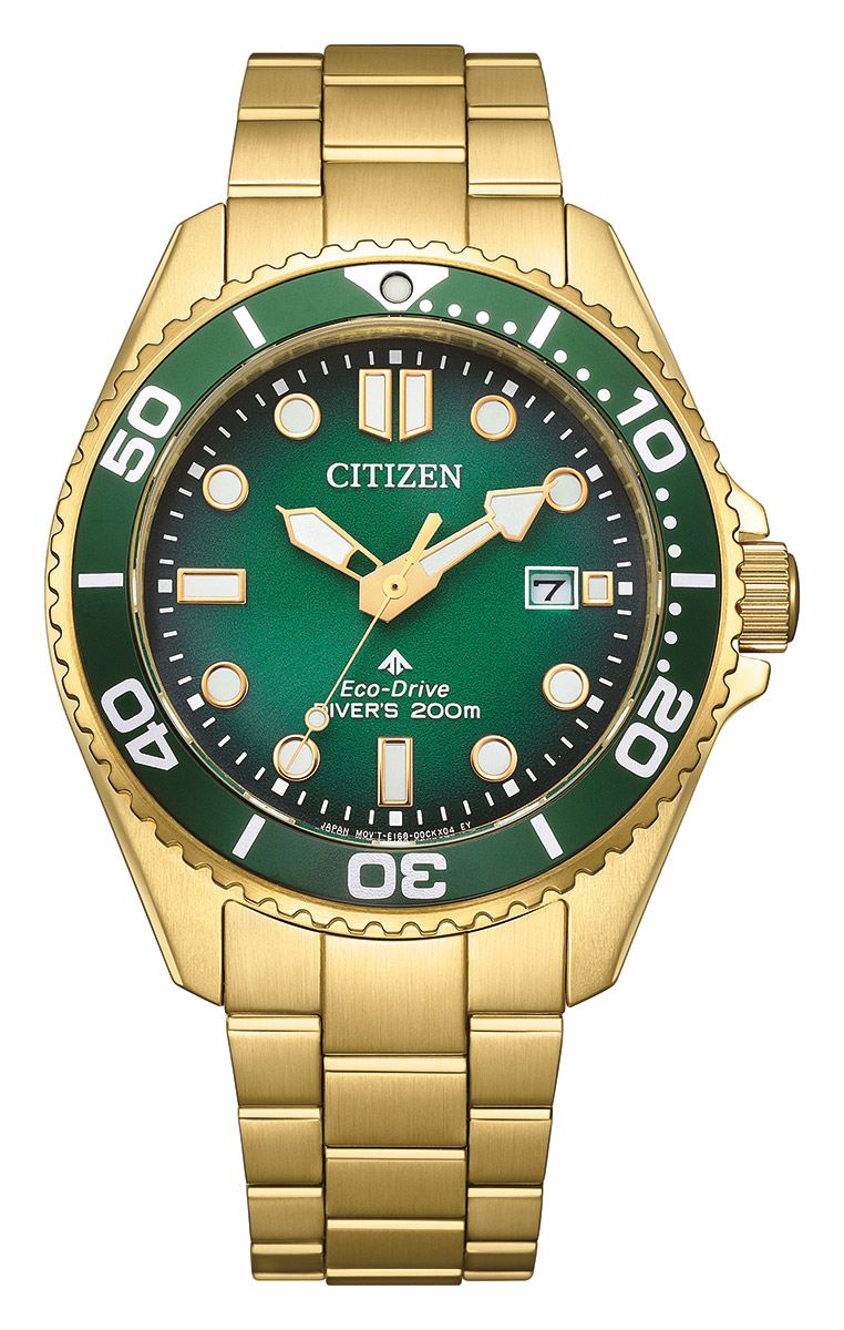 Citizen Eco-Drive Pro Marine BN0262-59W