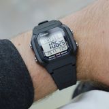 Casio Collection W-800H-1AVES