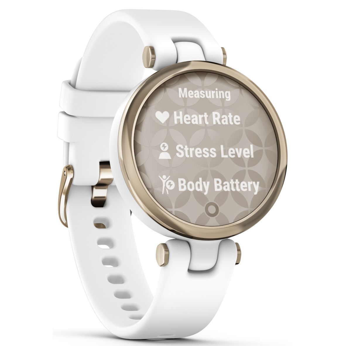 Garmin lily spotify
