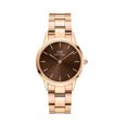 Daniel Wellington Iconic Link Amber 36 mm Roséguld DW00100461