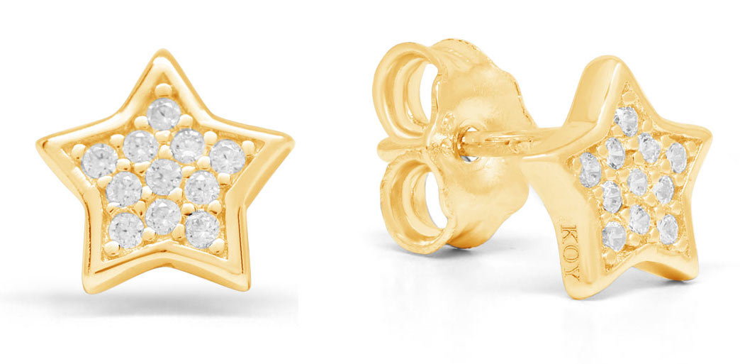 Silverörhängen stjärna zirkon E-1586ZGP