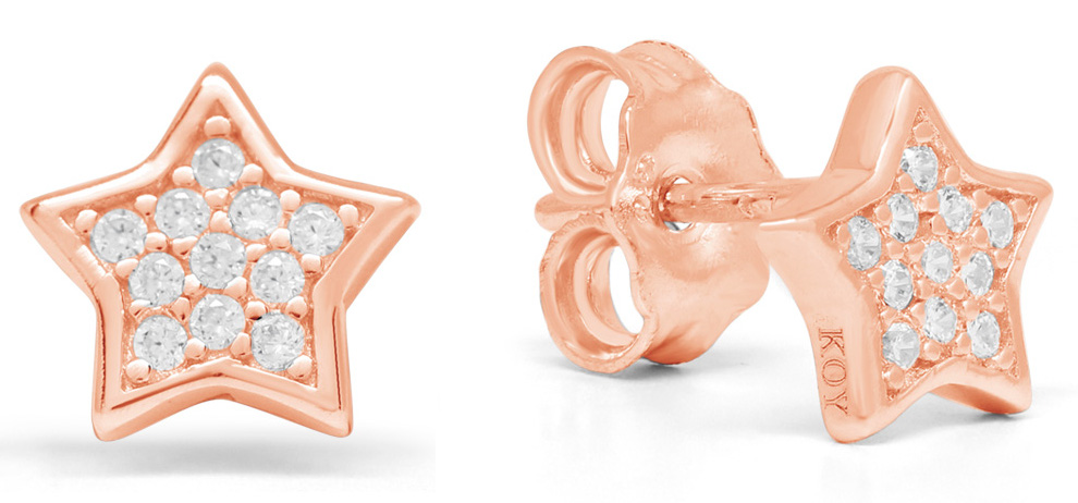 Silverörhängen stjärna zirkon E-1586ZRG