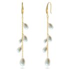 Edblad Angeleno orhängen guld 126843