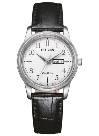 Citizen Eco-Drive Classic Elegant EW3260-17A