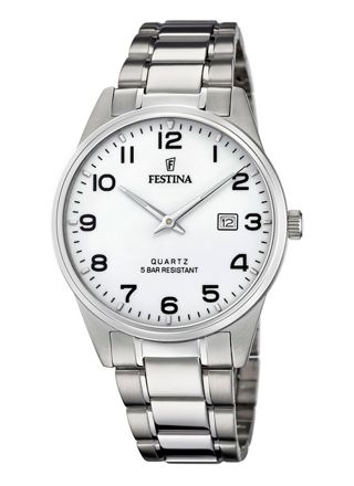Festina Classic F20511/1