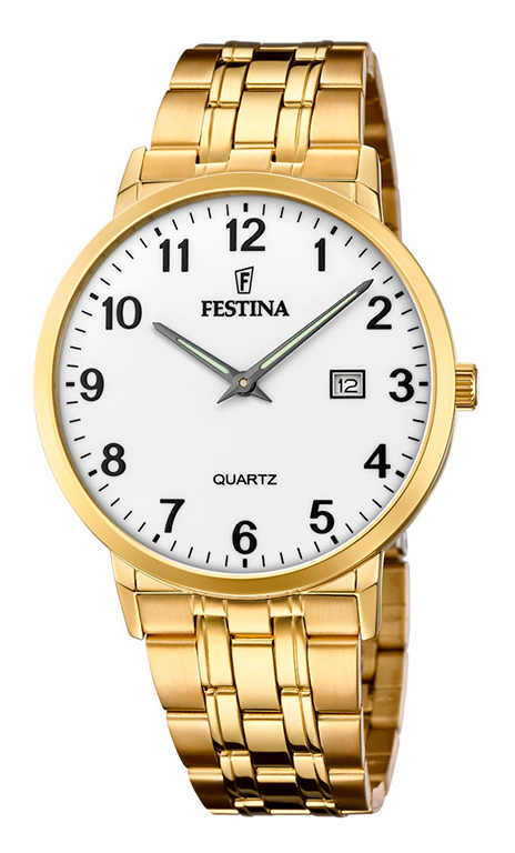 Festina Classic F20513/1