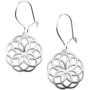 Finnfeelings FFKR2353 Leimu örhängen main product photo