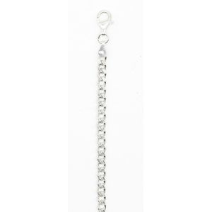 Pansarlänk i sterling silver 4 mm 50 cm R-PANS120-50 main product photo