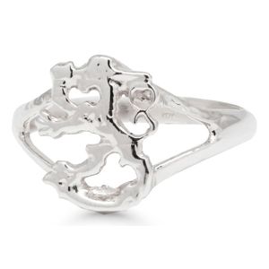 Silverdopring H120 main product photo