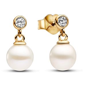 Pandora Timeless two-stone drop 14k gold-plated pärlörhängen 263153C01 main product photo