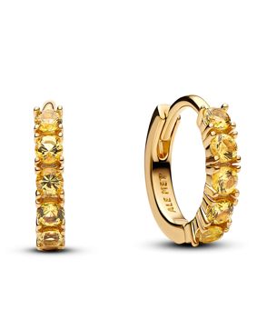 Pandora Timeless örhängen 263849C01