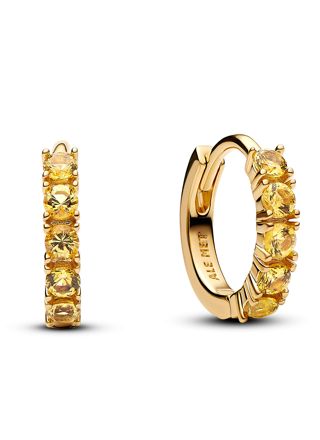 Pandora Timeless örhängen 263849C01