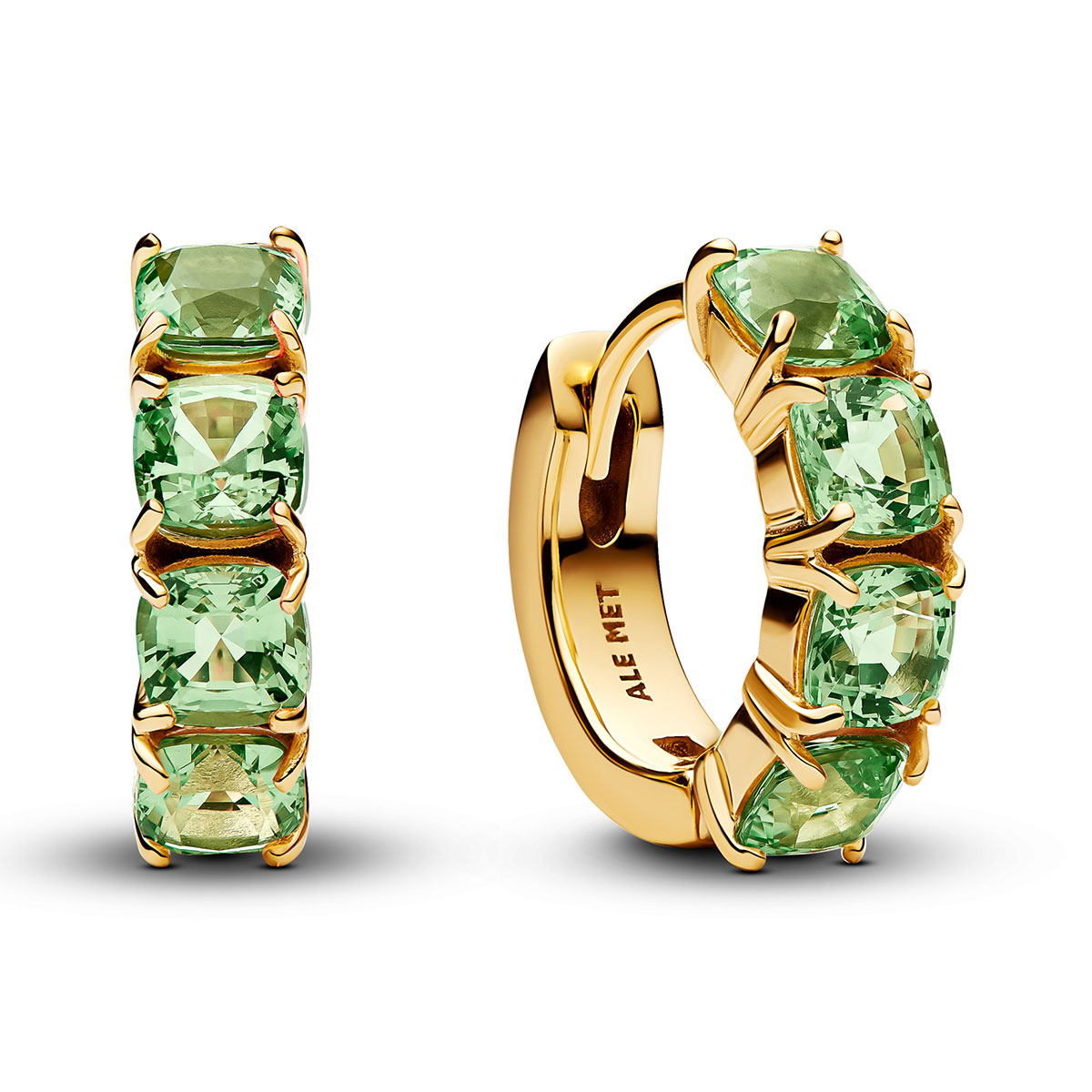 Pandora Timeless örhängen 263851C01