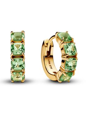 Pandora Timeless örhängen 263851C01