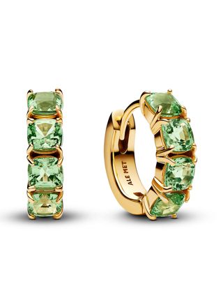 Pandora Timeless örhängen 263851C01