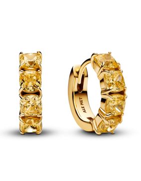 Pandora Timeless örhängen 263851C02