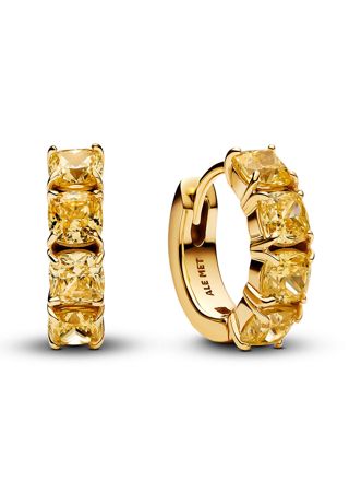 Pandora Timeless örhängen 263851C02