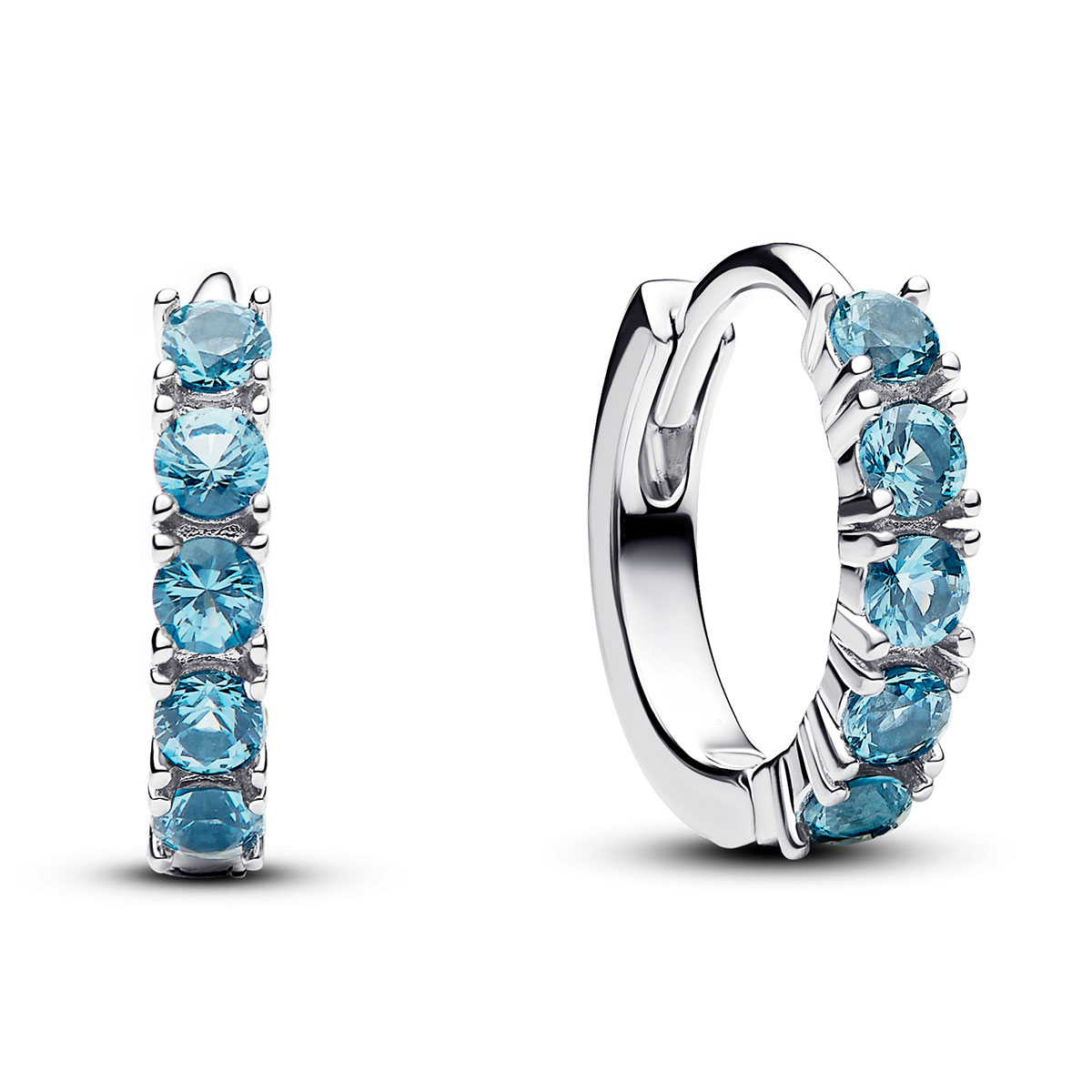 Pandora Timeless örhängen 293849C01