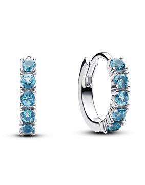 Pandora Timeless örhängen 293849C01