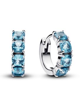 Pandora Timeless örhängen 293851C01