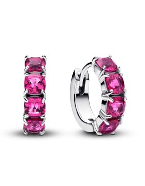 Pandora Timeless örhängen 293851C02