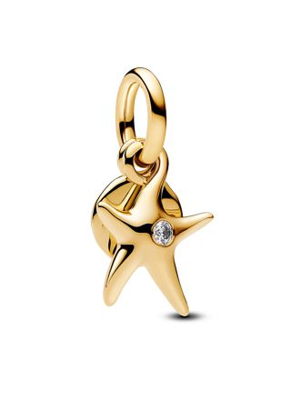 Pandora Moments berlock 763892C01