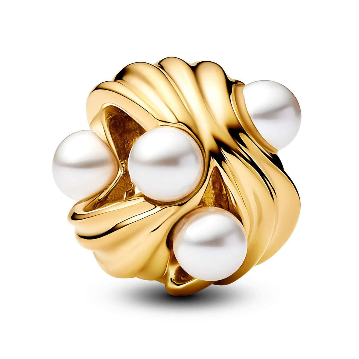 Pandora Moments berlock 763915C01