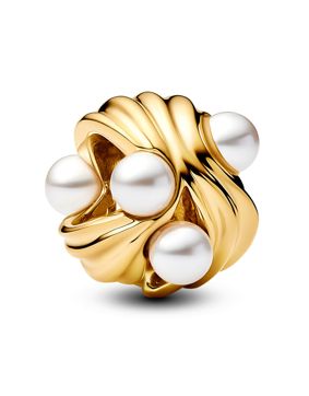 Pandora Moments berlock 763915C01