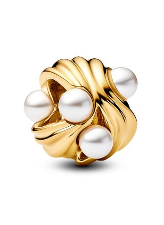 Pandora Moments berlock 763915C01