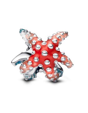 Pandora Moments berlock 793817C01