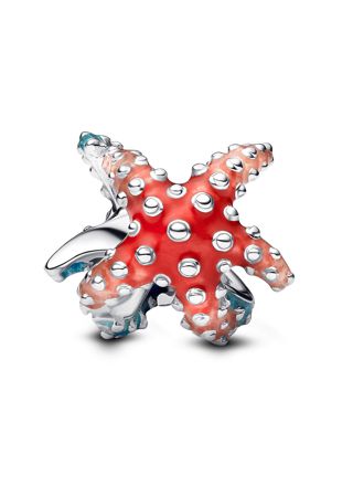 Pandora Moments berlock 793817C01