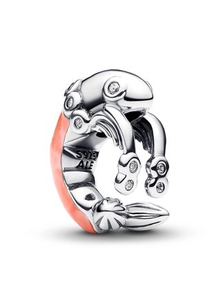 Pandora Moments berlock 793896C01