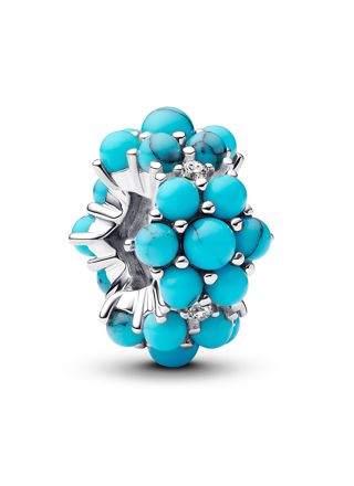 Pandora Moments berlock 793897C02