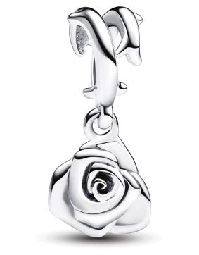 Pandora Moments Rose in Bloom berlock 793213C00