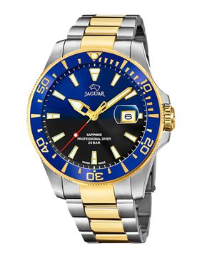 Jaguar Executive J863/3